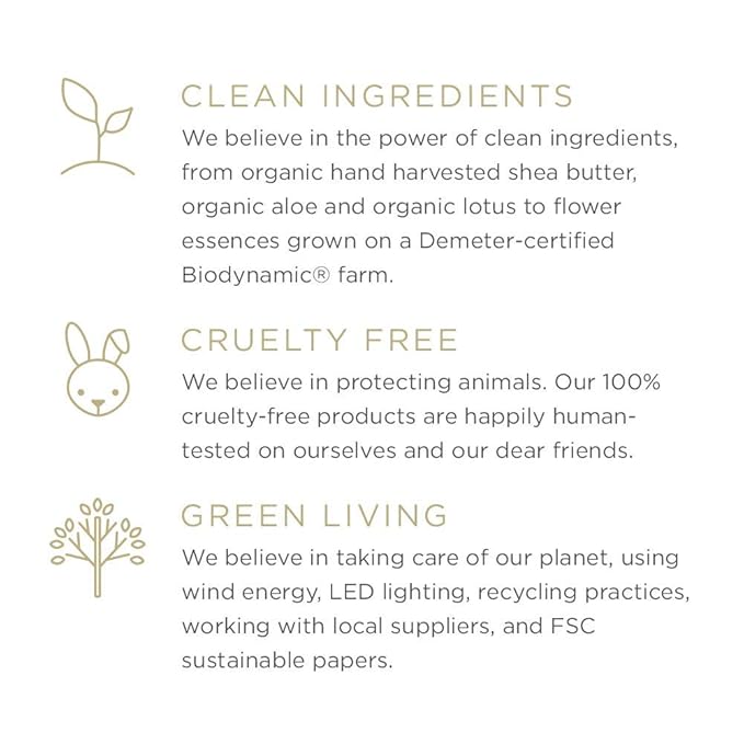 Zents Hand & Body Wash (Anjou Fragrance) | Hydrating Anti-Aging Cleanser with Organic Shea Butter & Aloe for Dry Skin | Gentle & Nourishing | 10 fl oz