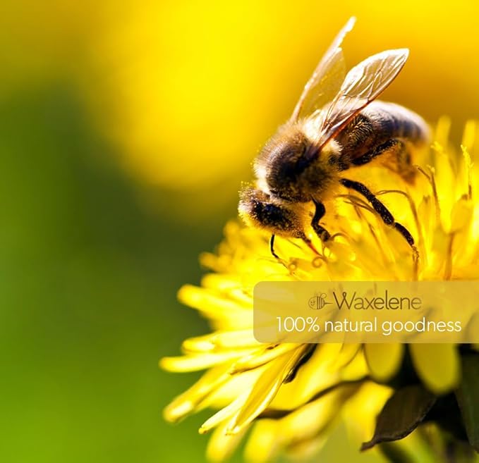 Waxelene Original Aerated Balm, Travel Jar, Organic Multipurpose Ointment the Petroleum Jelly Alternative Eczema Dry Sensitive Skin Face Moisturizer