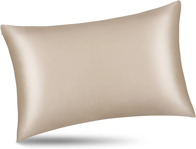 ALASKA BEAR Natural Silk Pillowcase, Hypoallergenic, 19 Momme, 600 Thread Count 100 Percent Mulberry Silk, Queen Size with Hidden Zipper (1,Champagne Gold)