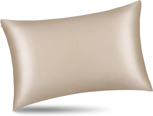 ALASKA BEAR Natural Silk Pillowcase, Hypoallergenic, 19 Momme, 600 Thread Count 100 Percent Mulberry Silk, Queen Size with Hidden Zipper (1,Champagne Gold)