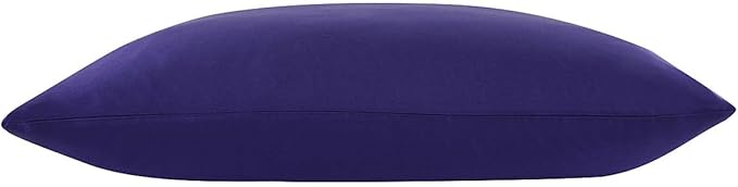 ALASKA BEAR King Size Silk Pillowcase 100 Percent Mulberry Silk Anti-Aging Pillow Case Slip with Zipper (1pc, Vibrant Purple)