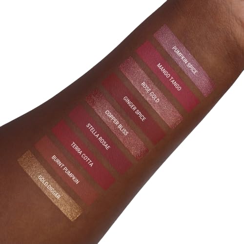 Aromi Matte Liquid Lipstick, Long-lasting, Chestnut, Rosy Lip Color, Vegan, Cruelty-free, Smudge Proof, Earthy Shade, Warm Tone (Stella Rosae)