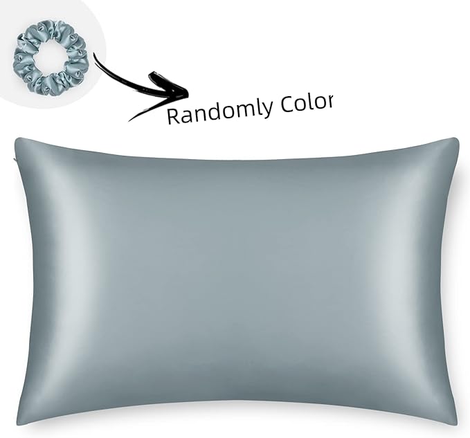 ALASKA BEAR Natural Silk Pillowcase, Hypoallergenic, 19 Momme, 600 Thread Count 100 Percent Mulberry Silk, Queen Size with Hidden Zipper(1, Haze Blue)