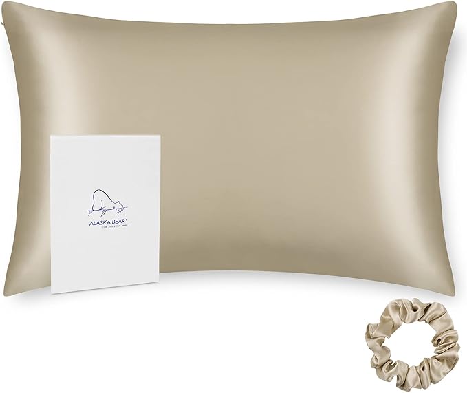 Queen Size Silk Pillowcase ALASKA BEAR Random Color Silk Scrunchie Gift Set for Beauty Sleep Queen 20 inch x30 inch (1 Pack, Beige)