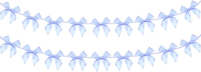 2pcs Bow Garland Banner, Ribbon Bow Party Decorations for Baby Shower Girls Bow Coquette Birthday Party Decor (Blue)