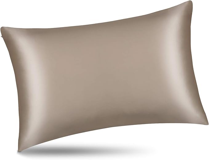 ALASKA BEAR Silk Pillowcase for Hair and Skin, Set of 2 Pure Genuine 22 Momme Mulberry Silk Pillow Cases Standard Size for Bliss Sleep Better Than Poly Satin, Zipper Closure(2pc, Taupe)