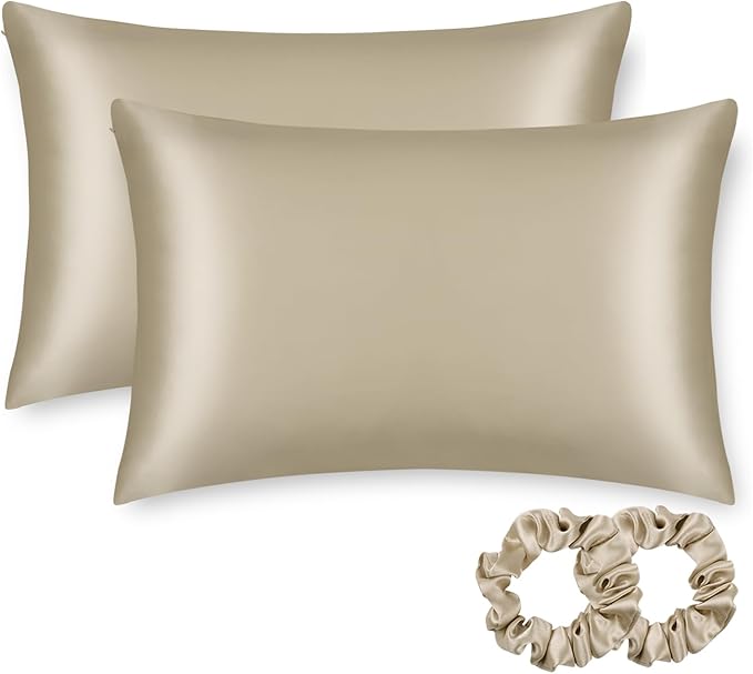 ALASKA BEAR Silk Pillowcase for Hair and Skin, Set of 2 Pure Genuine 22 Momme Mulberry Silk Pillow Cases Standard Size for Bliss Sleep Better Than Poly Satin, Zipper Closure(2pc, Beige)