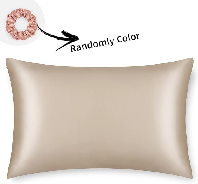 ALASKA BEAR Natural Silk Pillowcase, Hypoallergenic, 19 Momme, 600 Thread Count 100 Percent Mulberry Silk, Queen Size with Hidden Zipper (1,Champagne Gold)