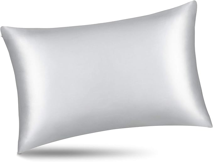 ALASKA BEAR Silk Pillowcase for Hair and Skin, Set of 2 Pure Genuine 22 Momme Mulberry Silk Pillow Cases Queen Size for Bliss Sleep Better Than Poly Satin, Zipper Closure(2pc,Silver)