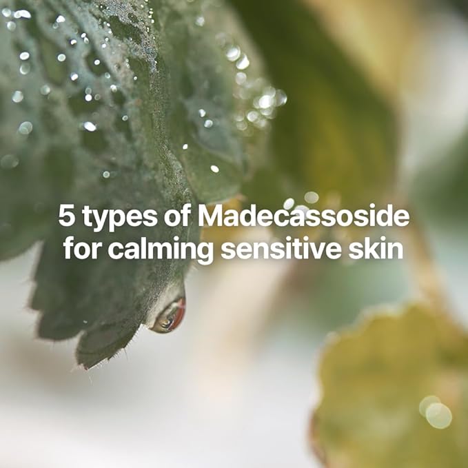 Pyunkang Yul PKY Calming Line Gift Box Set - Korean Facial Skin Care Essential for Daily Moisturizing, Safe on Acne Prone & Sensitive Skin, Vegan & Cruelty Free