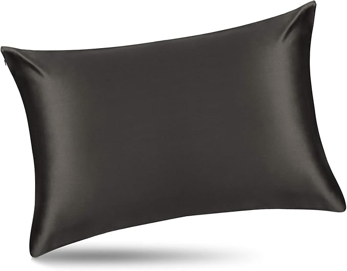 ALASKA BEAR Silk Pillowcase for Hair and Skin, Set of 2 Pure Genuine 22 Momme Mulberry Silk Pillow Cases Queen Size for Bliss Sleep Better Than Poly Satin, Zipper Closure(2pc, Charcoal)