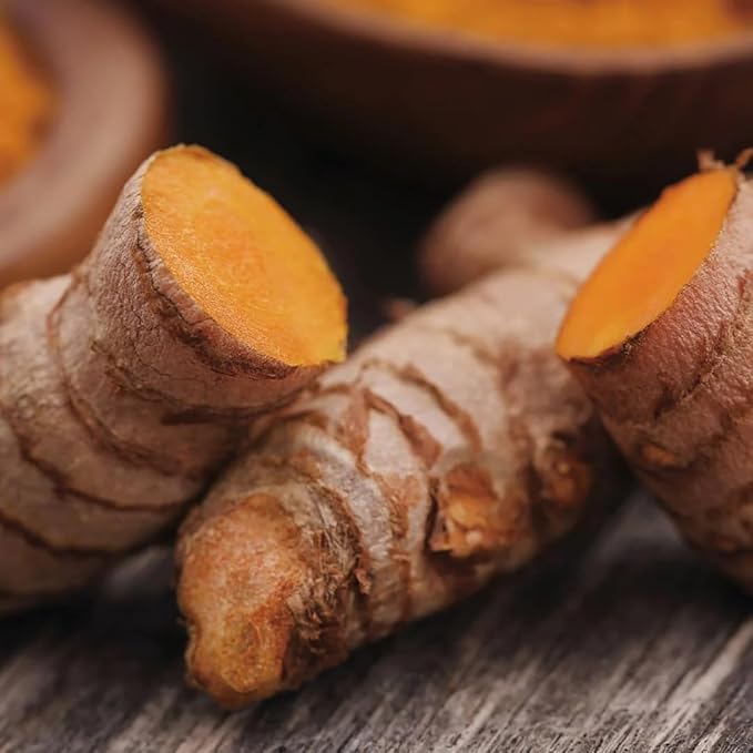 Aromatics International Turmeric Hydrosol 100ml | Earthy Aromatic Spray for Daily Use