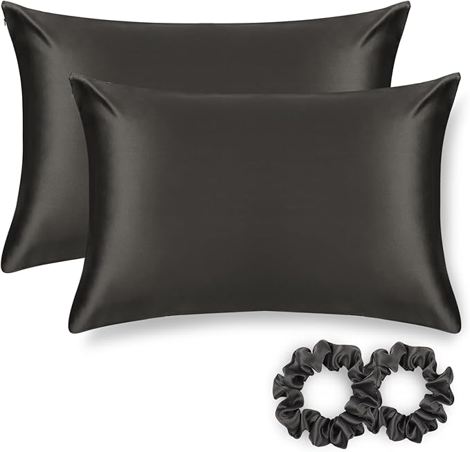 ALASKA BEAR Silk Pillowcase for Hair and Skin, Set of 2 Pure Genuine 22 Momme Mulberry Silk Pillow Cases Queen Size for Bliss Sleep Better Than Poly Satin, Zipper Closure(2pc, Charcoal)