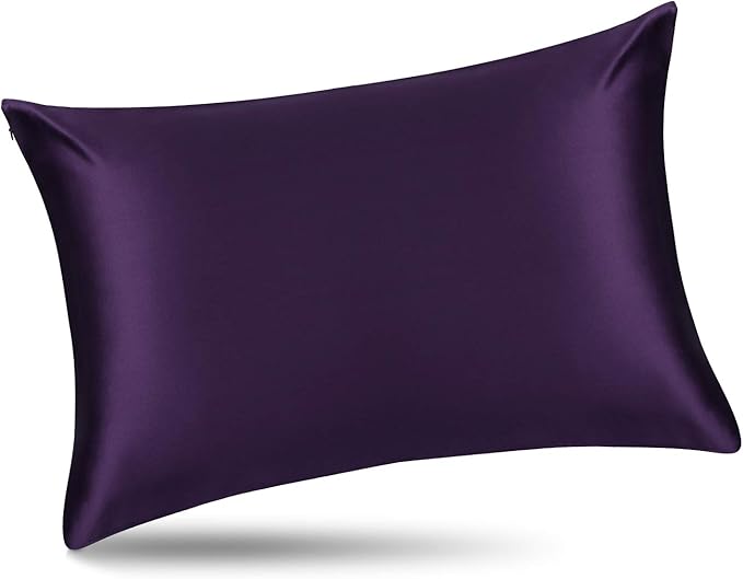ALASKA BEAR Natural Silk Pillowcase, 100 Percent Mulberry Silk, Queen Size (1 Pack, Dark Purple)