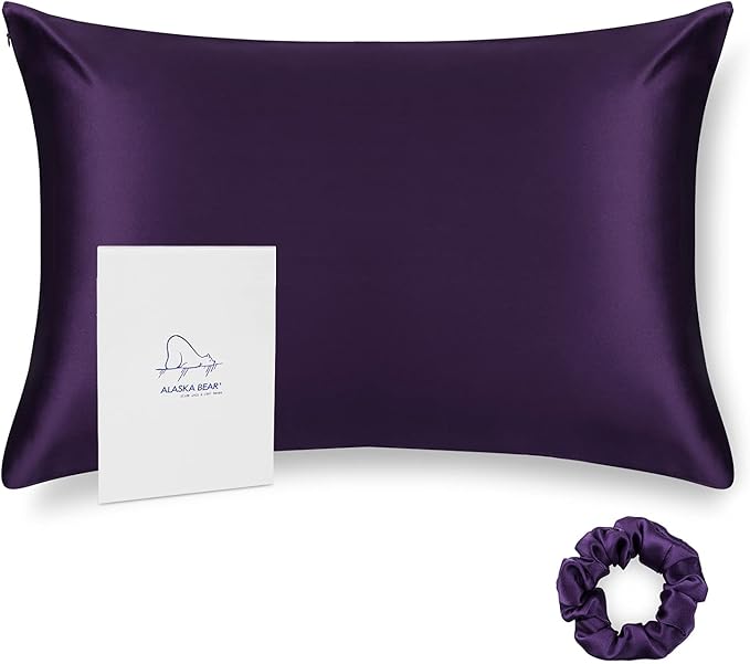 ALASKA BEAR Natural Silk Pillowcase, 100 Percent Mulberry Silk, Queen Size (1 Pack, Dark Purple)