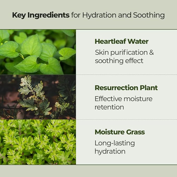 JMsolution Heartleaf 88 Toner - 88% Heart Leaf Water, Hydration and Soothing, Pore Care, Non-Sticky, Multi-Layer Absorption