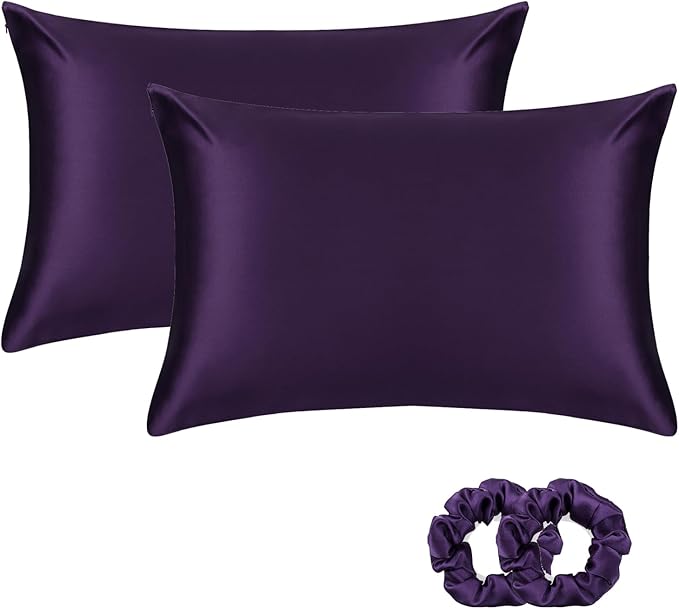 ALASKA BEAR Silk Pillowcase for Hair and Skin, Set of 2 Pure Genuine 22 Momme Mulberry Silk Pillow Cases Standard Size for Bliss Sleep Better Than Poly Satin, Zipper Closure(2pc, Dark Purple)