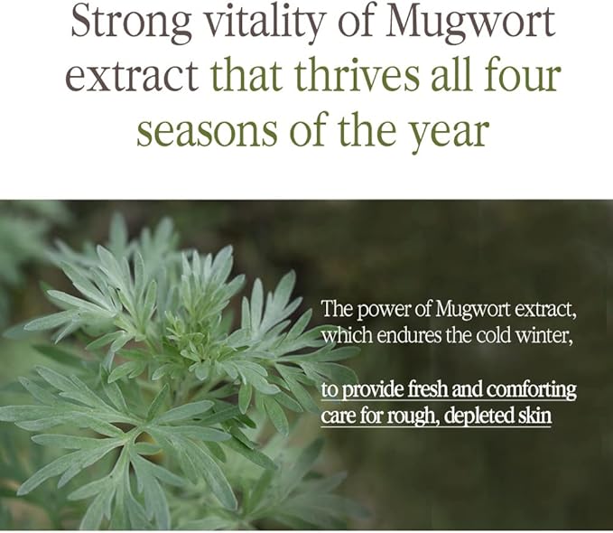 Pyunkang Yul PKY Black Tea Deep Infusion Toner for Anti-Aging, Rich Moisture Toner for Fine Line Care & Firmer Facial Skin, Zero-Irritation, Korean Skincare (4.39 Fl. Oz, 130ml)