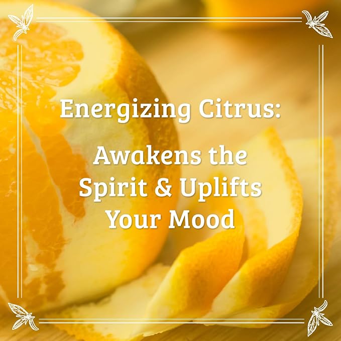 Pharmacopia Citrus Body Wash - Natural Shower Gel, Moisturizing and Nourishing Body Cleanser - Infused with Organic Aloe Vera, Coconut Oil, and Green Tea Extract - Vegan and Cruelty-Free, 16 oz