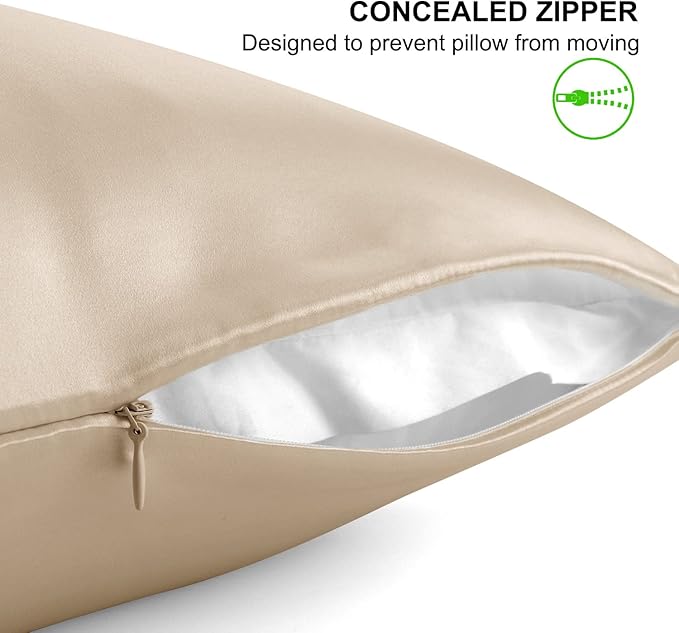 ALASKA BEAR Natural Silk Pillowcase, Hypoallergenic, 19 Momme, 600 Thread Count 100 Percent Mulberry Silk, Queen Size with Hidden Zipper (1,Champagne Gold)