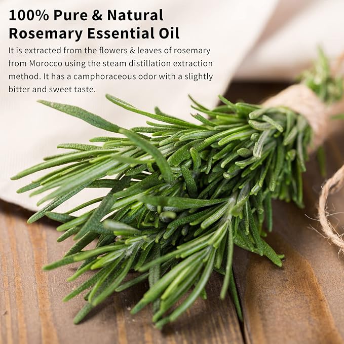 yethious Rosemary Oil for Hair Rosemary Essential Oil for Diffuser, Soap Candle Making 10ML