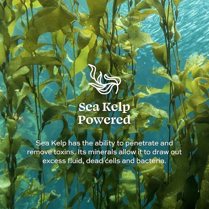 Aleavia Prebiotic Skin Restoration Kit – Nourish your Healthy Skin Microbiome with Prebiotic Ingredients – 8 oz. Purifying Facial Cleanse and 4 oz. Restore Soothing Mist