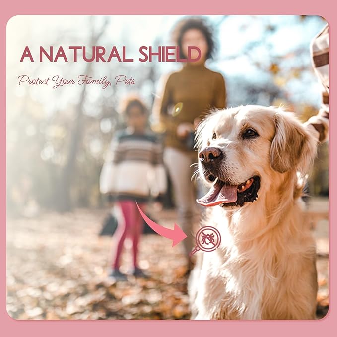 Rose Geranium Essential Oil, Pure Natural for Skin Body Diffuser - 1 Oz