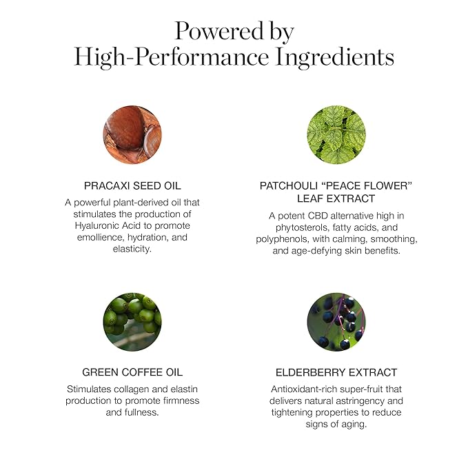 Ogee Sculpted Complexion Foundation Stick (Anjou 11.5N - Deep Beige, Golden Undertones) Full Coverage Foundation Makeup - Instantly Balance & Even Complexion - 70% Organic Ingredients