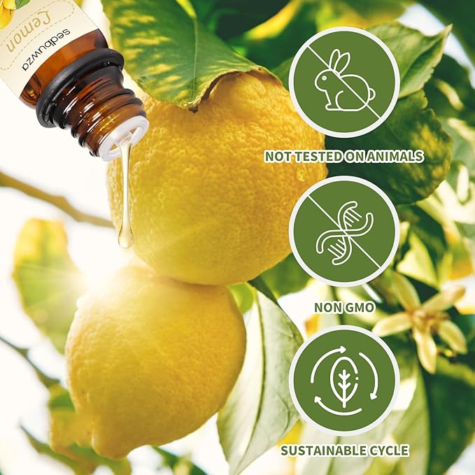 Sedbuwza Lemon Orange Essential Oil Set, Lemon Fragrance Oil Orange Scent Oil Set for Diffuser, Aromatherapy, Massage, Soap, Candle Making 2 x 10 ml