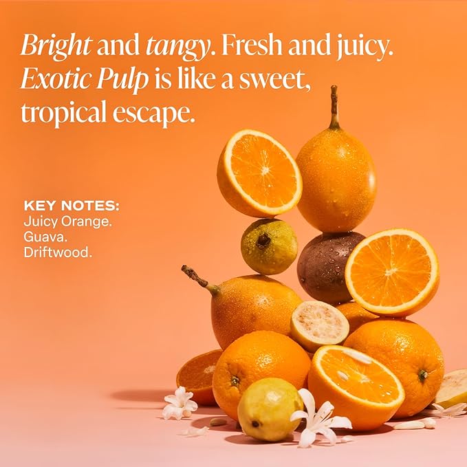 Saltair Multi-Lipid Body Butter - Rich, Nourishing Exotic Pulp Hydrating Body Cream with Ceramide Complex, Coconut Oil, Shea Butter, and Sea Buckthorn. Deep Moisturizing Dry Skin Care. 10oz Jar