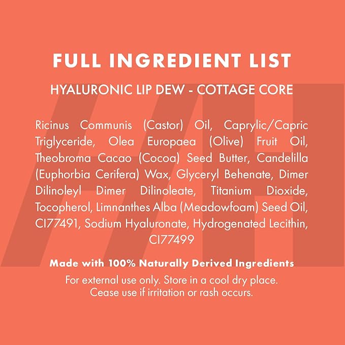 Handmade Heroes 100% Natural Vegan Tinted Lip Gloss with Hyaluronic Acid - Lightweight Moisturizing Soft Lipstick for Dry Lips - Cottage Core (Pink)