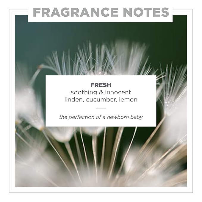 Zents Hand & Body Wash (Fresh Fragrance) | Hydrating Anti-Aging Cleanser with Organic Shea Butter & Aloe for Dry Skin | Gentle & Nourishing | 10 fl oz