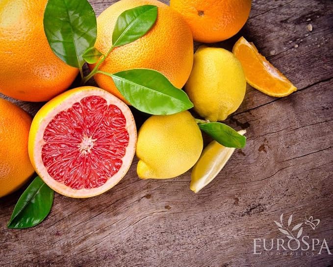 EuroSpa Aromatics Pure Eucalyptus Oil ShowerMist and Steam Room Spray, All-Natural Premium Aromatherapy Essential Oils - Citrus Infused, 8oz