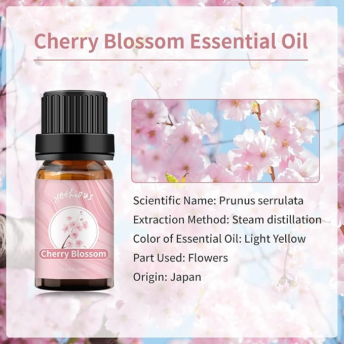yethious Cherry Blossom Essential Oils for Diffuser & Aromatherapy Pure Cherry Blossom Oil - 10ML