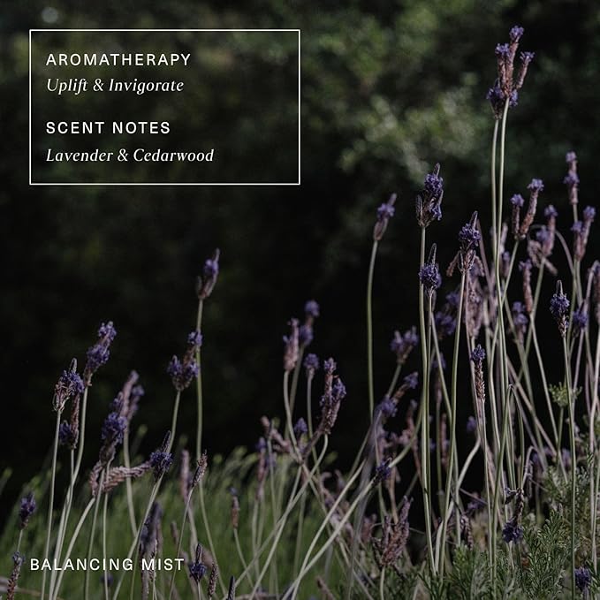 Oak Essentials Balancing Mist | Antioxidant-Rich Rose Water & Aloe Toning Face Mist That Helps Hydrate, Calm, and Refresh, 3.4 Fl Oz