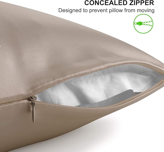 ALASKA BEAR Silk Pillowcase for Hair and Skin, Set of 2 Pure Genuine 22 Momme Mulberry Silk Pillow Cases Queen Size for Bliss Sleep Better Than Poly Satin, Zipper Closure(2pc, Taupe)