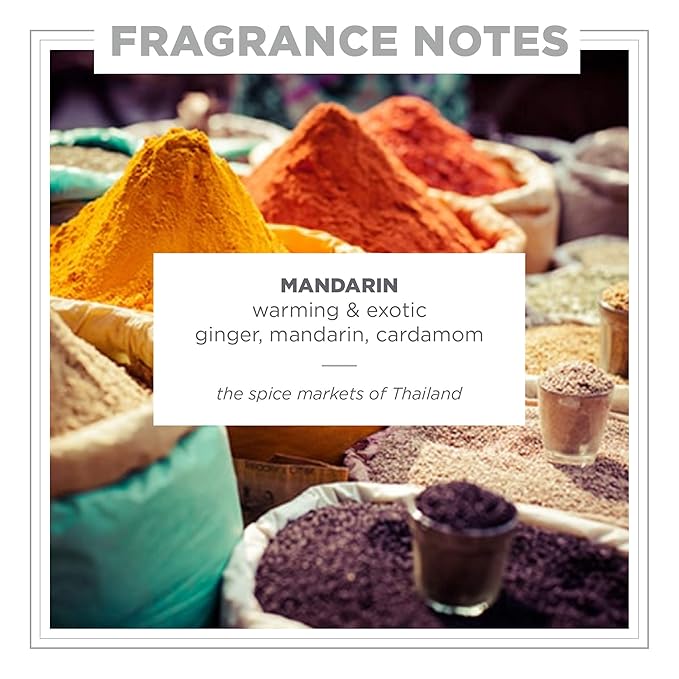 Zents Hand & Body Wash (Mandarin Fragrance) | Hydrating Anti-Aging Cleanser with Organic Shea Butter & Aloe for Dry Skin | Gentle & Nourishing | 10 fl oz