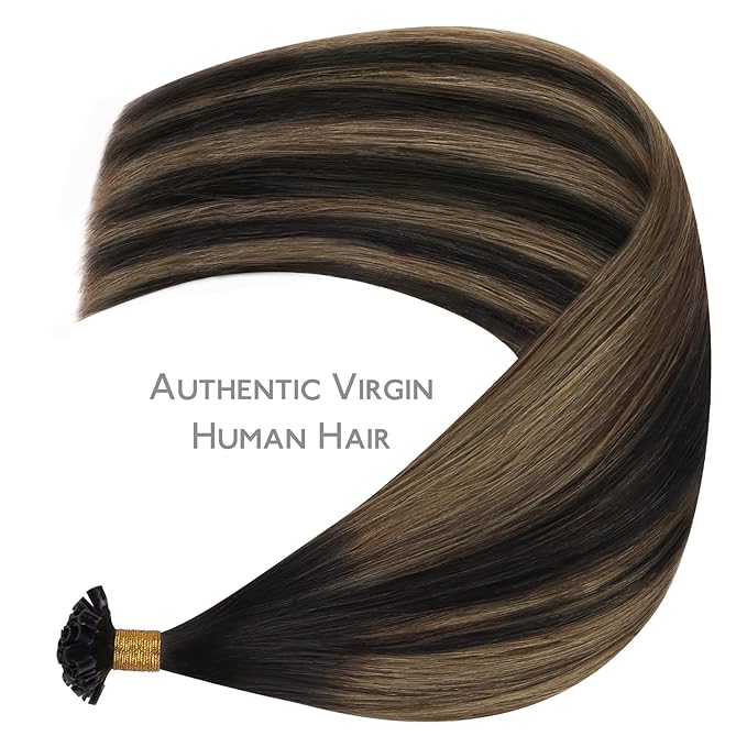 WENNALIFE U Tip Hair Extensions Human Hair, 50g 50s 22 Inch Balayage Natural Black to Chestnut Brown Remy Hair Extensions K Tip Hair Extension Real Human Hair Invisible Straight Keratin Hair Extension