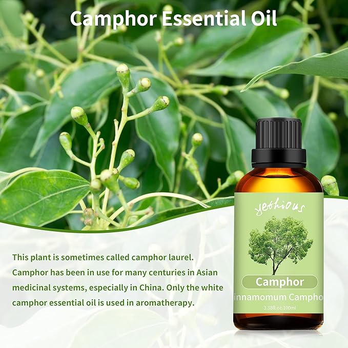 yethious Camphor Essential Oil for Diffuser & Aromatherapy, Massage, Candle Soap Making Camphor Oil Fragrance DIY - 100ML