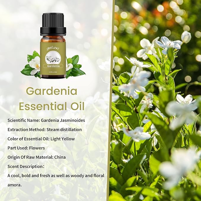 yethious Gardenia Essential Oil, 100% Pure Organic Gardenia Aromatherapy Oil for Diffuser, Humidifier, Soap, Candle, Perfume