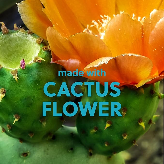 Tree Hut Desert Haze Shea Sugar Scrub, Exfoliating, Hydrating & Moisturizing Body Scrub with Shea Butter & Nourishing Essential Oils, Smooth & Soften Skin, 18 oz