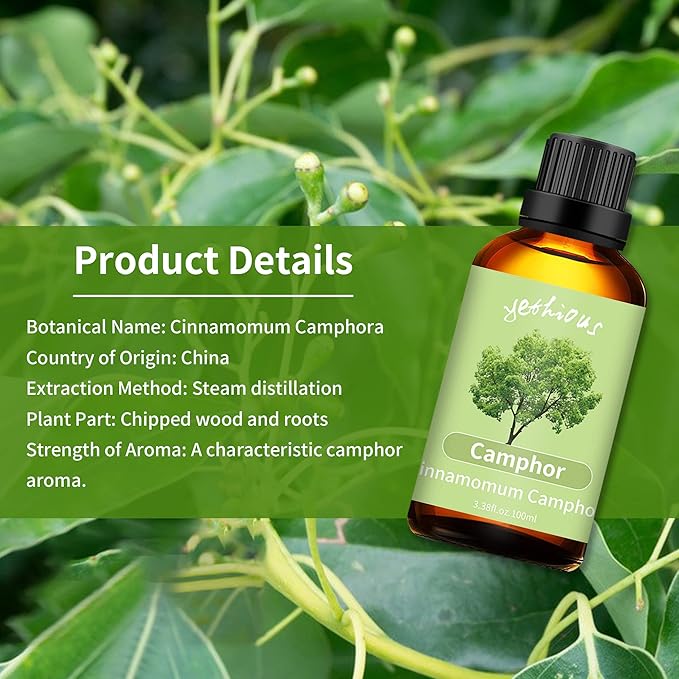 yethious Camphor Essential Oil for Diffuser & Aromatherapy, Massage, Candle Soap Making Camphor Oil Fragrance DIY - 100ML