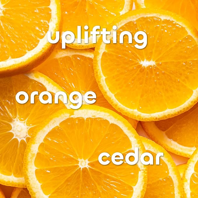 Seaweed Bath Co. Detox Body Wash - Rosemary Mint - Hydrating Foaming Cleanser with Refreshing Natural Ingredients - Vegan, Paraben and Sulfate Free Shower Gel for Women and Men - 12 oz