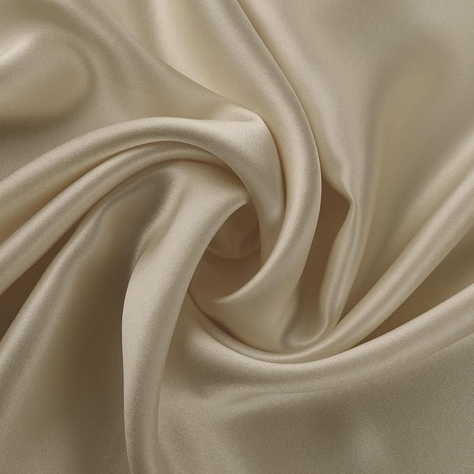 ALASKA BEAR Silk Pillowcase for Hair and Skin, Set of 2 Pure Genuine 22 Momme Mulberry Silk Pillow Cases Standard Size for Bliss Sleep Better Than Poly Satin, Zipper Closure(2pc, Beige)