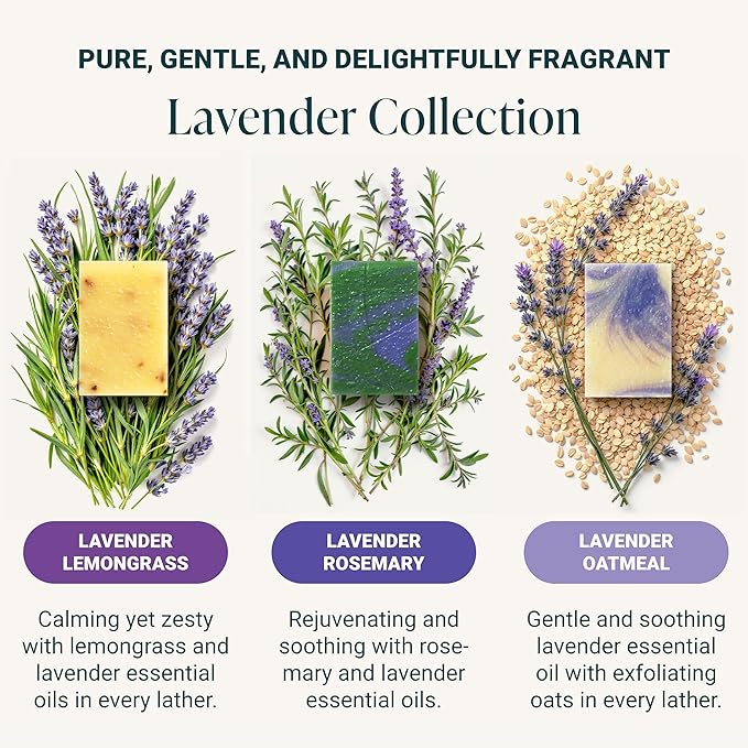 The Bubble Factory Handmade Natural Bath & Body Soap Bar, Vegan, All-Natural, Palm Oil Free, Made in USA with Shea Butter + Essential Oils, Lavender Collection, 3 Bars