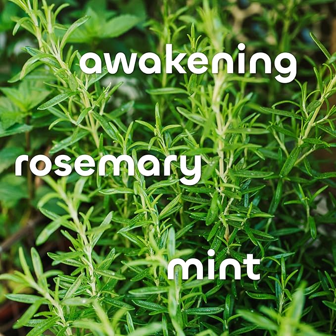 Seaweed Bath Co. Detox Body Wash, Rosemary Mint Scent, 12 Ounce, Shower Gel for Men & Women, Vegan, Paraben Free, Sulfate Free, Cruelty Free